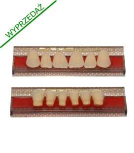 Zęby Mifam Super Lux przody 6 sztuk, wyprzedaż