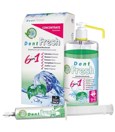 Dent Fresh zestaw startowy Mint