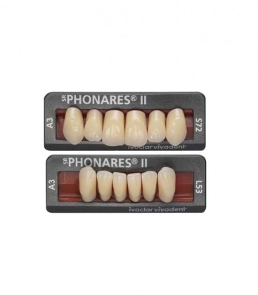 Zęby SR Phonares II Anterior 6 sztuk