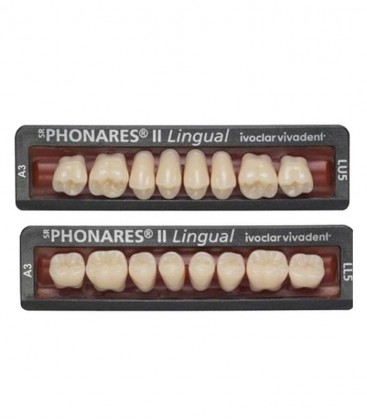 Zęby SR Phonares II Lingual 8 sztuk