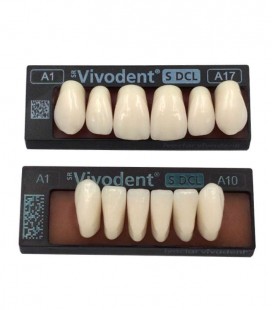 Zęby SR Vivodent S DCL 6 sztuk