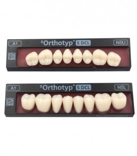 Zęby SR Orthotyp S DCL 8 sztuk